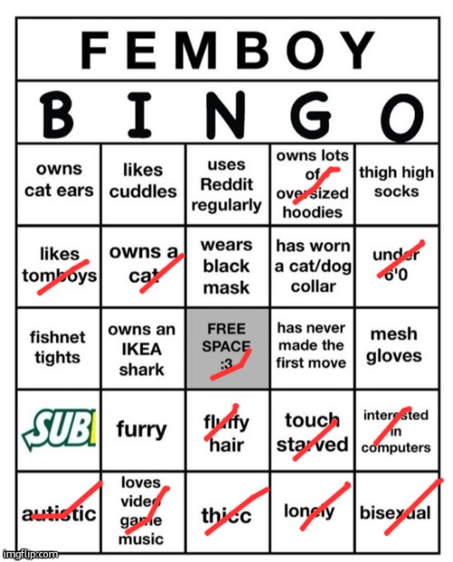 in my defense... im going to find some of this, leave me alone | image tagged in femboy bingo,femboy | made w/ Imgflip meme maker