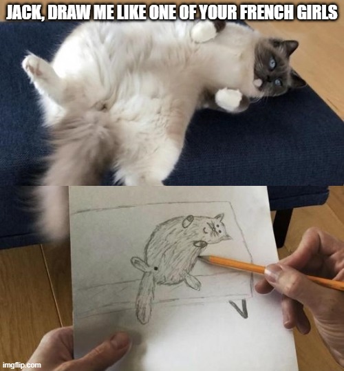 Titanic Cat | JACK, DRAW ME LIKE ONE OF YOUR FRENCH GIRLS | image tagged in cats | made w/ Imgflip meme maker
