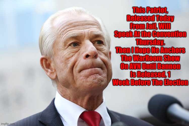 Peter Navarro, 4 Months In Jail | This Patriot, Released Today From Jail, Will Speak At the Convention Thursday.
Then I Hope He Anchors The WarRoom Show On AVN Until Bannon Is Released, 1 Week Before The Election | image tagged in peter navarro,political meme,politics,steve bannon | made w/ Imgflip meme maker