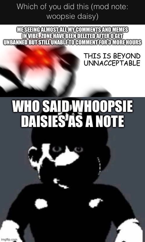 Who (mod note: whoopsie daisy) | image tagged in grey mario,this is beyond unacceptable | made w/ Imgflip meme maker