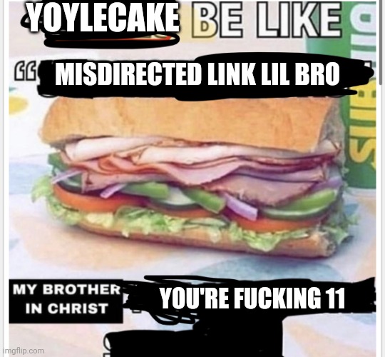 My brother in christ subway | YOYLECAKE MISDIRECTED LINK LIL BRO YOU'RE FUCKING 11 | image tagged in my brother in christ subway | made w/ Imgflip meme maker