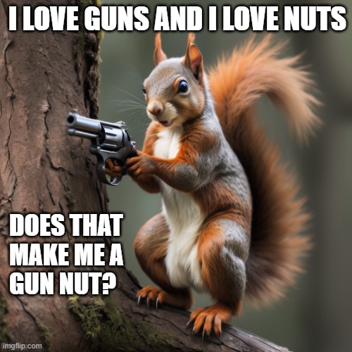 Squirrel with a Gun | I LOVE GUNS AND I LOVE NUTS; DOES THAT
MAKE ME A
GUN NUT? | image tagged in guns,squirrel,gun rights,2nd amendment,funny animals | made w/ Imgflip meme maker