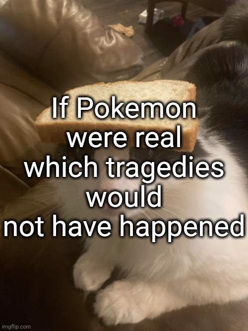 bread cat | If Pokemon were real which tragedies would not have happened | image tagged in bread cat | made w/ Imgflip meme maker