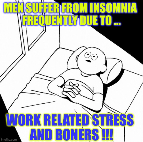 Insomnia / STESS & BONERS.  : ) | MEN SUFFER FROM INSOMNIA 
FREQUENTLY DUE TO …; WORK RELATED STRESS 
AND BONERS !!! | image tagged in overthinking | made w/ Imgflip meme maker