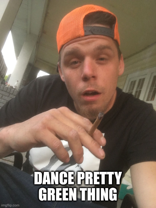 Dustin pot | DANCE PRETTY GREEN THING | image tagged in dustin pot | made w/ Imgflip meme maker