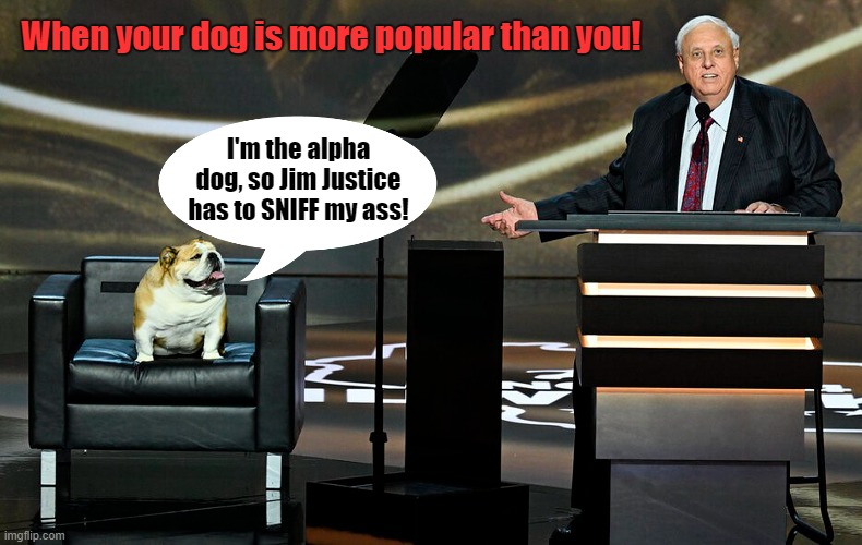 West Virginia Governor Jim Justice at the RNC | When your dog is more popular than you! I'm the alpha dog, so Jim Justice has to SNIFF my ass! | image tagged in smart dog,west virginia,governor,republican national convention | made w/ Imgflip meme maker