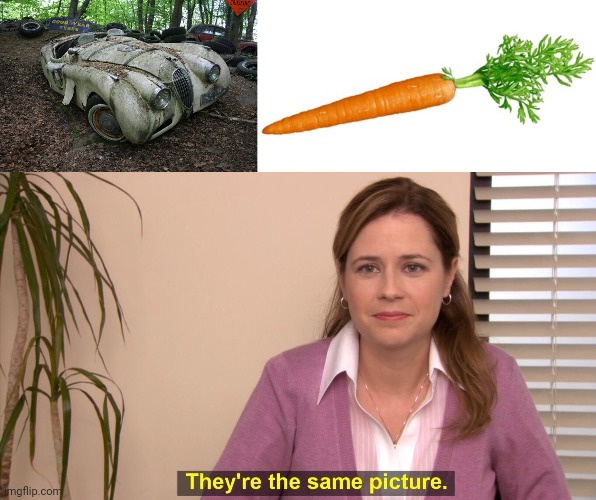I'm so subtle. | image tagged in independent carrot,memes,they're the same picture | made w/ Imgflip meme maker