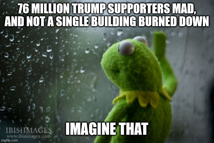 imagine that! | 76 MILLION TRUMP SUPPORTERS MAD, AND NOT A SINGLE BUILDING BURNED DOWN; IMAGINE THAT | image tagged in kermit window,trump,republican,democrat,thinking,change my mind | made w/ Imgflip meme maker