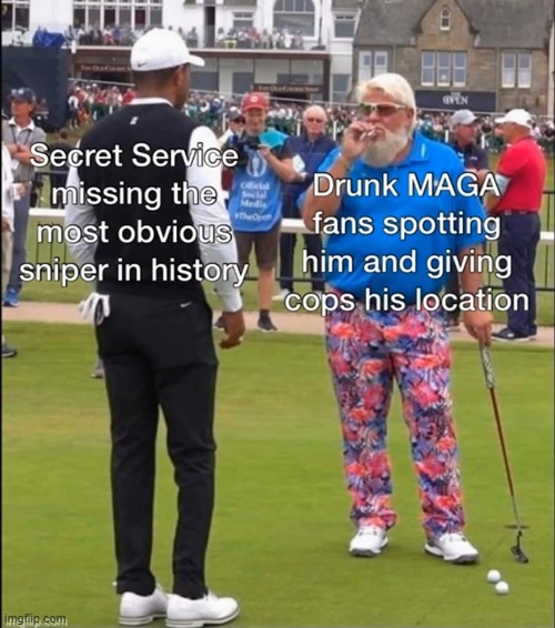 8xd6cr.jpg