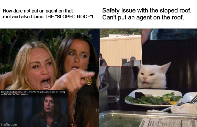 Woman Yelling At Cat | How dare not put an agent on that roof and also blame THE "SLOPED ROOF"! Safety Issue with the sloped roof.
Can't put an agent on the roof. | image tagged in memes,woman yelling at cat | made w/ Imgflip meme maker