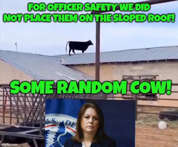 Radom cow Secret Service employee of the month | FOR OFFICER SAFETY WE DID NOT PLACE THEM ON THE SLOPED ROOF! SOME RANDOM COW! | image tagged in secret service,cow,maga,make america great again,tds,trump derangement syndrome | made w/ Imgflip meme maker