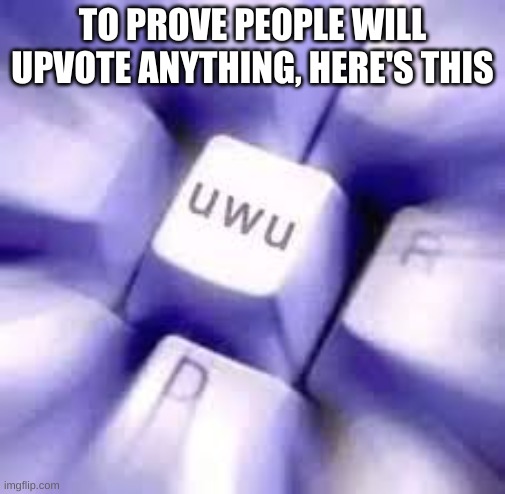 UWU | TO PROVE PEOPLE WILL UPVOTE ANYTHING, HERE'S THIS | image tagged in uwu | made w/ Imgflip meme maker