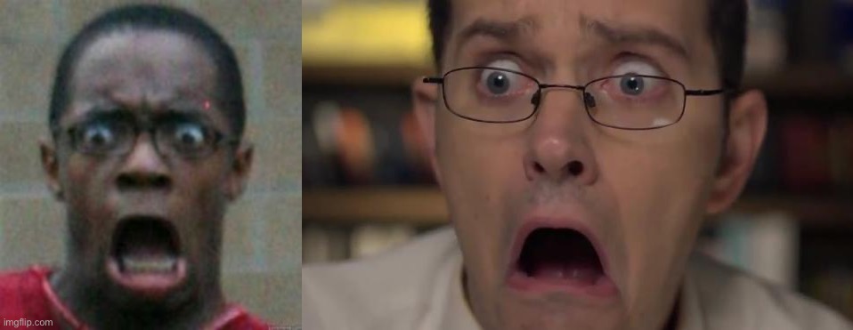 Literally similar facial expressions | image tagged in surprised,avgn face | made w/ Imgflip meme maker