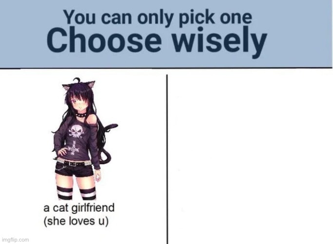 Choose wisely | image tagged in choose wisely | made w/ Imgflip meme maker