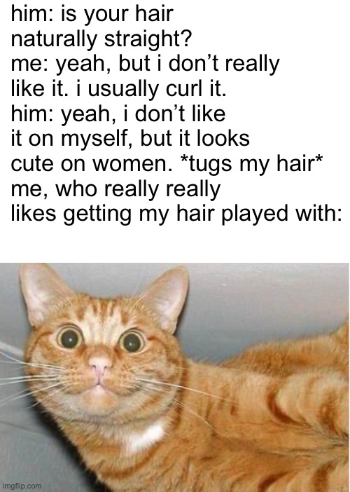 actual conversation i had with “kris” today (also its official yall i’m dating an emo boy) | him: is your hair naturally straight?
me: yeah, but i don’t really like it. i usually curl it.
him: yeah, i don’t like it on myself, but it looks cute on women. *tugs my hair*
me, who really really likes getting my hair played with: | image tagged in blank white template,sideways happy cat | made w/ Imgflip meme maker