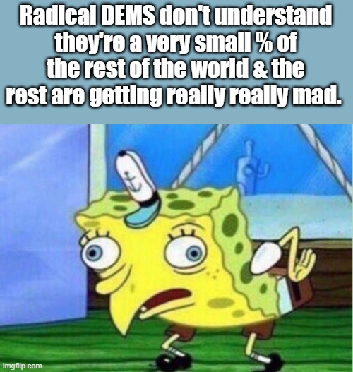 Mocking Spongebob Meme | Radical DEMS don't understand they're a very small % of the rest of the world & the rest are getting really really mad. | image tagged in memes,mocking spongebob | made w/ Imgflip meme maker