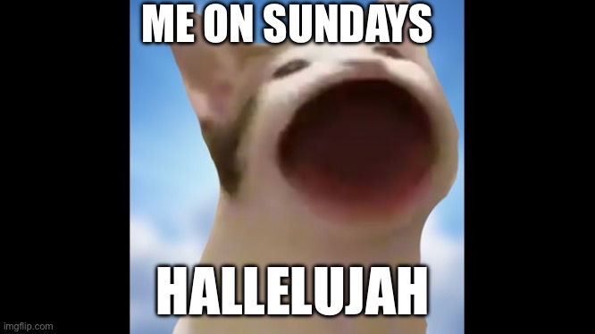 The days of the week part one | ME ON SUNDAYS; HALLELUJAH | made w/ Imgflip meme maker