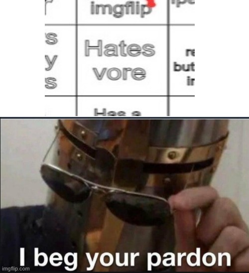 I beg your pardon | image tagged in i beg your pardon | made w/ Imgflip meme maker