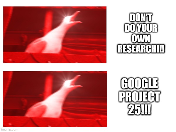 Squak | DON'T DO YOUR OWN RESEARCH!!! GOOGLE PROJECT 25!!! | made w/ Imgflip meme maker