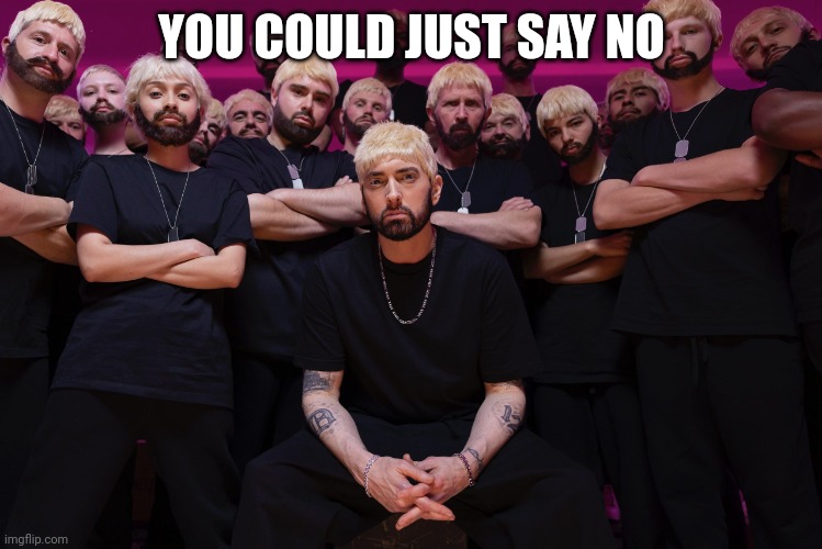 eminem houdini  hes back | YOU COULD JUST SAY NO | image tagged in eminem houdini hes back | made w/ Imgflip meme maker