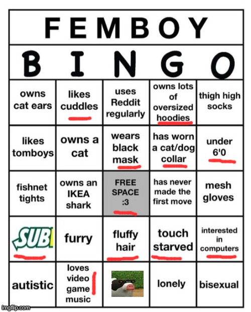 Femboy Bingo | image tagged in femboy bingo | made w/ Imgflip meme maker