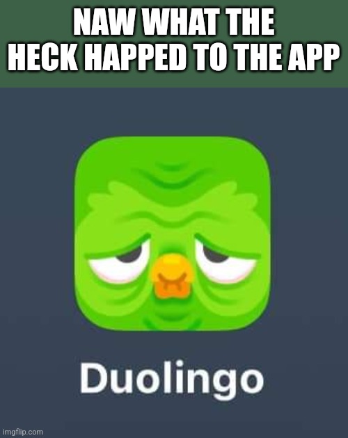 Huh I wonder why | NAW WHAT THE HECK HAPPED TO THE APP | image tagged in angry doulingo | made w/ Imgflip meme maker