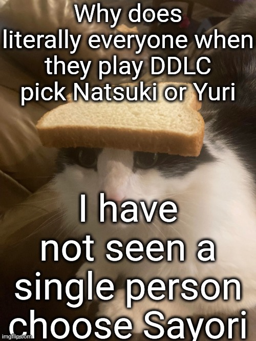 Maybe because she hangs herself | Why does literally everyone when they play DDLC pick Natsuki or Yuri; I have not seen a single person choose Sayori | image tagged in bread cat | made w/ Imgflip meme maker