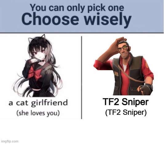 Choose wisely | TF2 Sniper; (TF2 Sniper) | image tagged in choose wisely | made w/ Imgflip meme maker