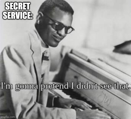 I’m gonna pretend I didn’t see that | SECRET SERVICE: | image tagged in i m gonna pretend i didn t see that | made w/ Imgflip meme maker