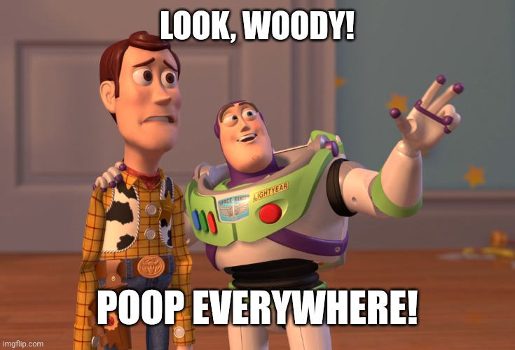 X, X Everywhere Meme | LOOK, WOODY! POOP EVERYWHERE! | image tagged in memes,x x everywhere | made w/ Imgflip meme maker