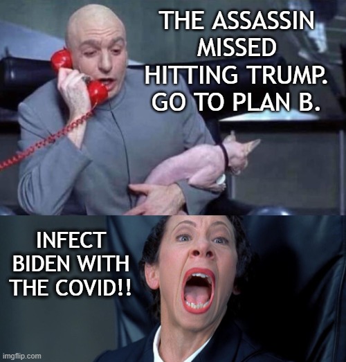 Plan B | THE ASSASSIN MISSED HITTING TRUMP. GO TO PLAN B. INFECT BIDEN WITH THE COVID!! | image tagged in dr evil and frau,joe biden,covid-19,trump,democrats | made w/ Imgflip meme maker