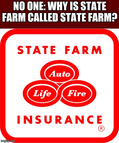 State farm logo | NO ONE: WHY IS STATE FARM CALLED STATE FARM? | image tagged in state farm logo | made w/ Imgflip meme maker