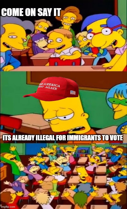 FYI | COME ON SAY IT; ITS ALREADY ILLEGAL FOR IMMIGRANTS TO VOTE | image tagged in immigrants,voting,maga,trump | made w/ Imgflip meme maker