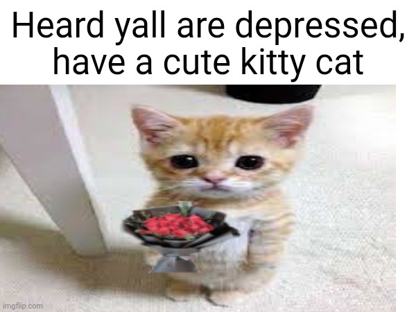 Kitty :D | Heard yall are depressed, have a cute kitty cat | made w/ Imgflip meme maker