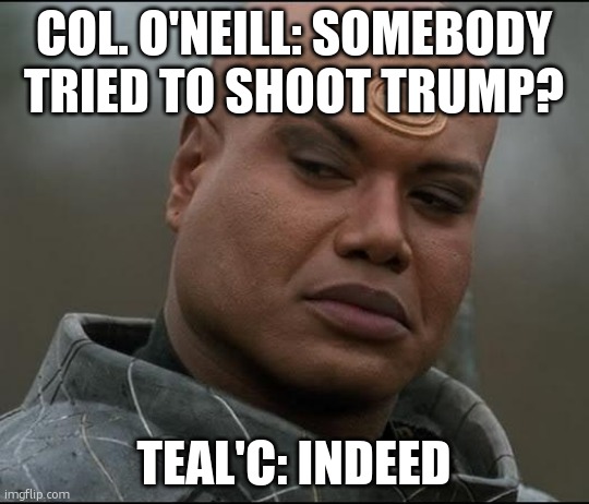 indeed | COL. O'NEILL: SOMEBODY TRIED TO SHOOT TRUMP? TEAL'C: INDEED | image tagged in stargate tealc bemused | made w/ Imgflip meme maker