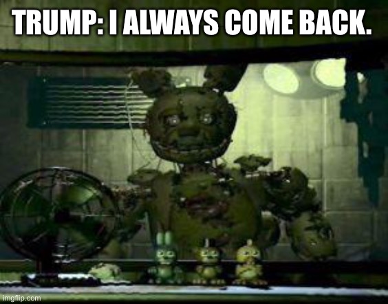 FNAF Springtrap in window | TRUMP: I ALWAYS COME BACK. | image tagged in fnaf springtrap in window | made w/ Imgflip meme maker