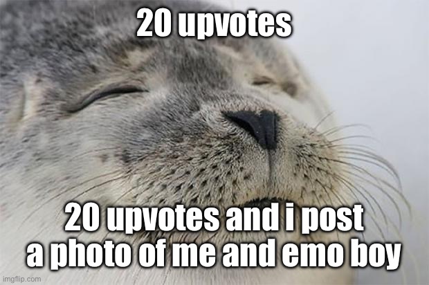 Satisfied Seal Meme | 20 upvotes; 20 upvotes and i post a photo of me and emo boy | image tagged in memes,satisfied seal | made w/ Imgflip meme maker