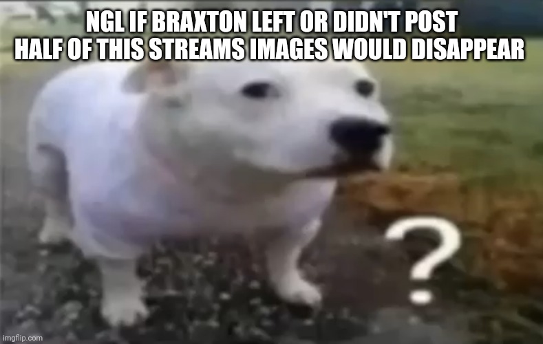 ? | NGL IF BRAXTON LEFT OR DIDN'T POST HALF OF THIS STREAMS IMAGES WOULD DISAPPEAR | made w/ Imgflip meme maker