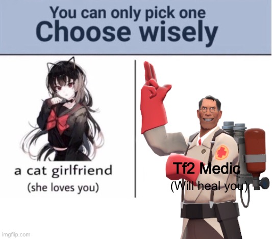 Choose wisely | Tf2 Medic; (Will heal you) | image tagged in choose wisely | made w/ Imgflip meme maker