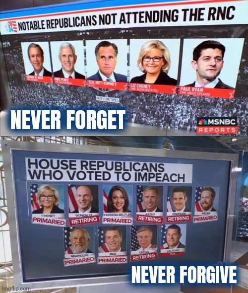 No place for RINO Traitors | NEVER FORGET; NEVER FORGIVE | image tagged in tds,mental illness,rino,demonrats in disguise,sorry not sorry,stay home | made w/ Imgflip meme maker
