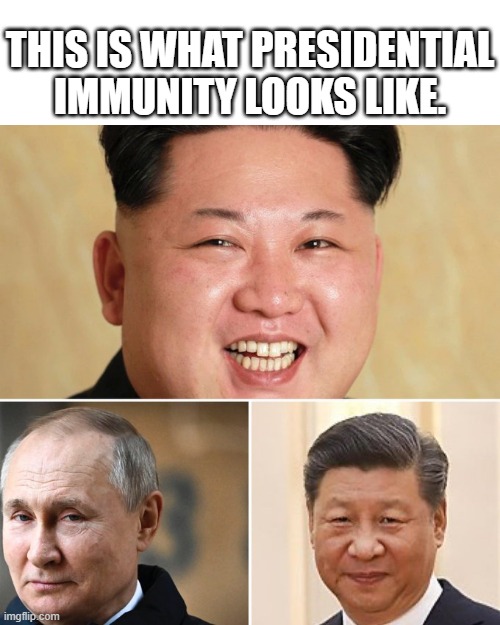 Well, it looks far worse, but I can't post those pictures here... | THIS IS WHAT PRESIDENTIAL IMMUNITY LOOKS LIKE. | image tagged in presidential immunity,dictator,kim jong un,vladimir putin,xi jinping | made w/ Imgflip meme maker