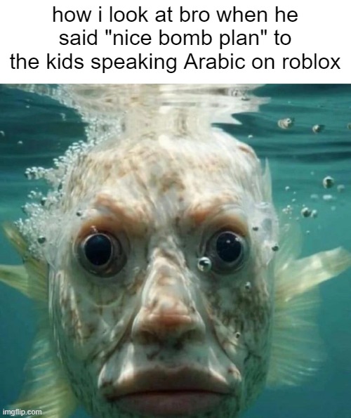 bro | how i look at bro when he said "nice bomb plan" to the kids speaking Arabic on roblox | image tagged in memes | made w/ Imgflip meme maker