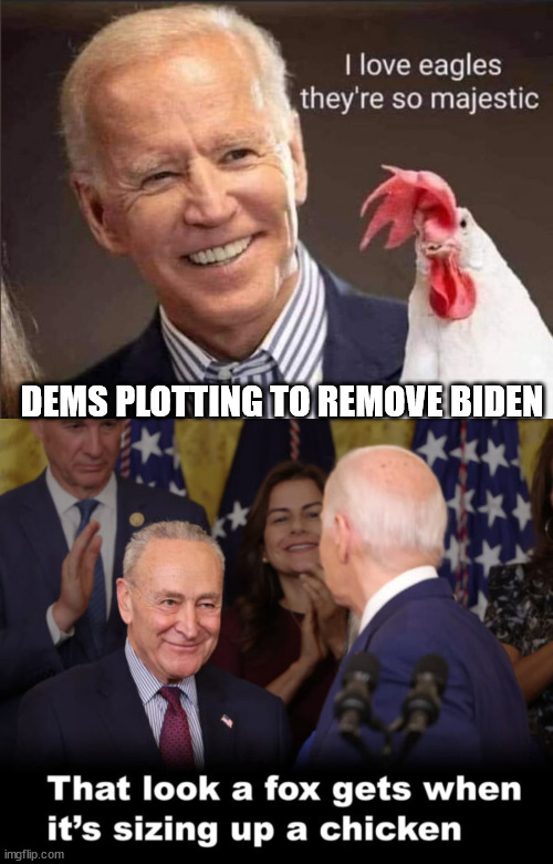 dems plotting to remove Biden...  too many plots for them to keep track of... | DEMS PLOTTING TO REMOVE BIDEN | image tagged in dems plotting to remove biden as their candidate,bi done | made w/ Imgflip meme maker