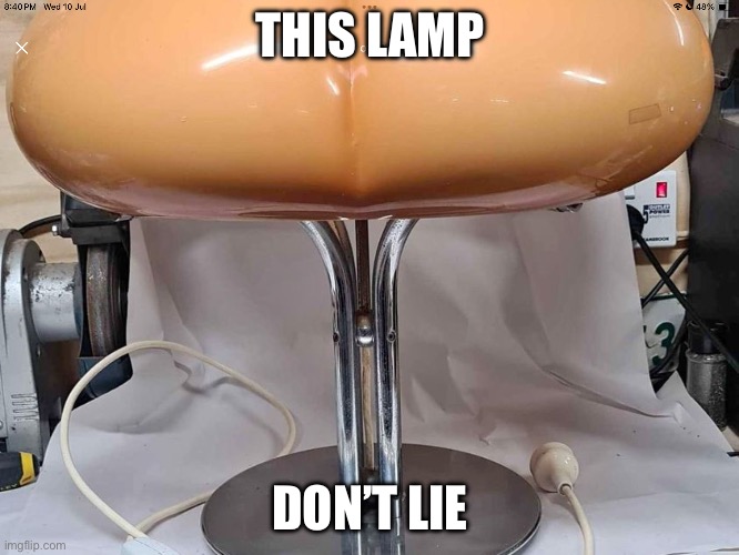 No lies | THIS LAMP; DON’T LIE | image tagged in lamp,lies,truth | made w/ Imgflip meme maker