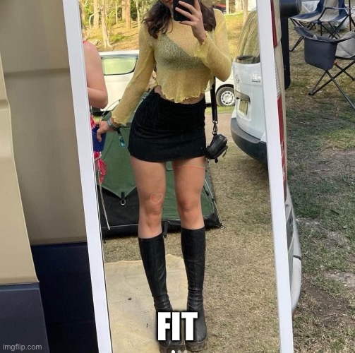 FIT | image tagged in fit | made w/ Imgflip meme maker