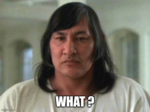 Chief | WHAT ? | image tagged in chief | made w/ Imgflip meme maker