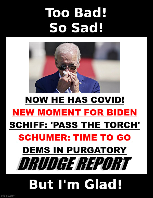 Joe Biden: Too Bad! So Sad! | image tagged in senile,incompetent,corrupt,democrat,joe biden | made w/ Imgflip meme maker