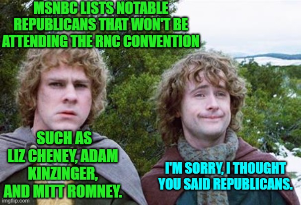 Words have meaning. | MSNBC LISTS NOTABLE REPUBLICANS THAT WON'T BE ATTENDING THE RNC CONVENTION; SUCH AS LIZ CHENEY, ADAM KINZINGER, AND MITT ROMNEY. I'M SORRY, I THOUGHT YOU SAID REPUBLICANS. | image tagged in second breakfast | made w/ Imgflip meme maker