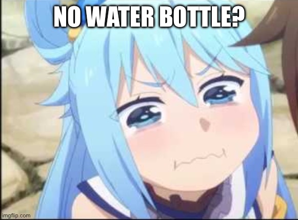 When it’s empty drinks: | NO WATER BOTTLE? | image tagged in crying aqua konosuba,meme,no bitches | made w/ Imgflip meme maker