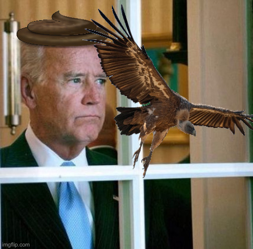 No Eagle For Joe, Just A Vulture Dropping A Dook On His Head | image tagged in sad joe biden,political meme,politics,funny memes,funny | made w/ Imgflip meme maker